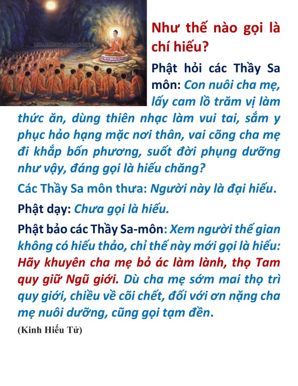 hieu duong cha me_vu lan bao hieu17.jpg
